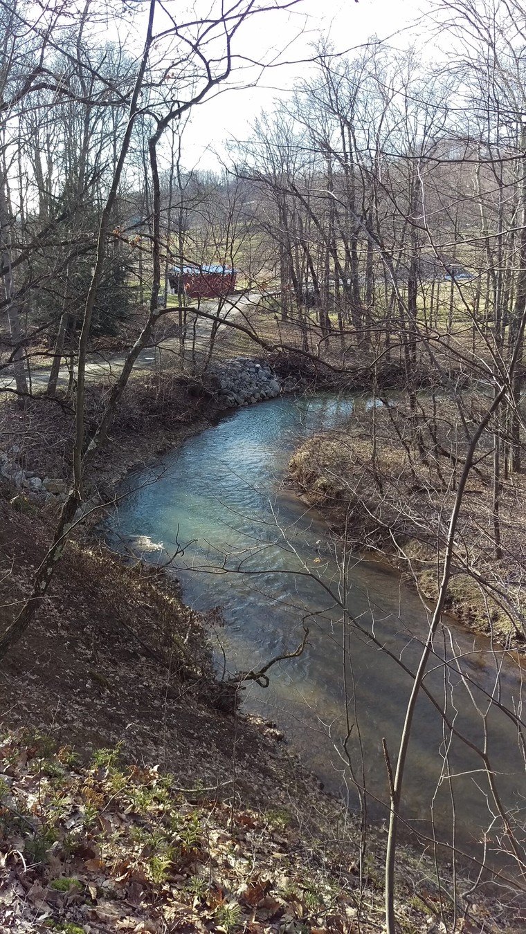 Trusal Covered Bridge reference photograph 1