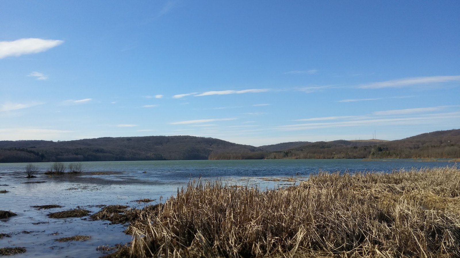 Yellow Creek State Park lake in winter with reed grasses and frozen shoreline
