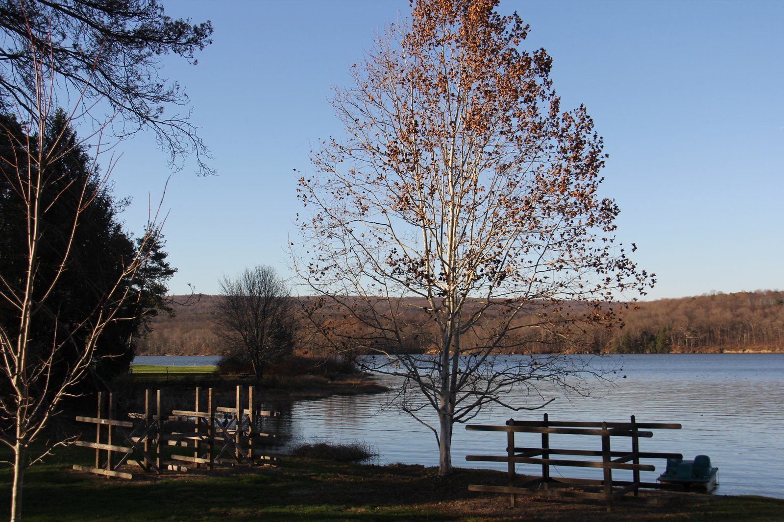 Late autumn Yellow Creek State Park lake with birch tree and rustic wooden fence