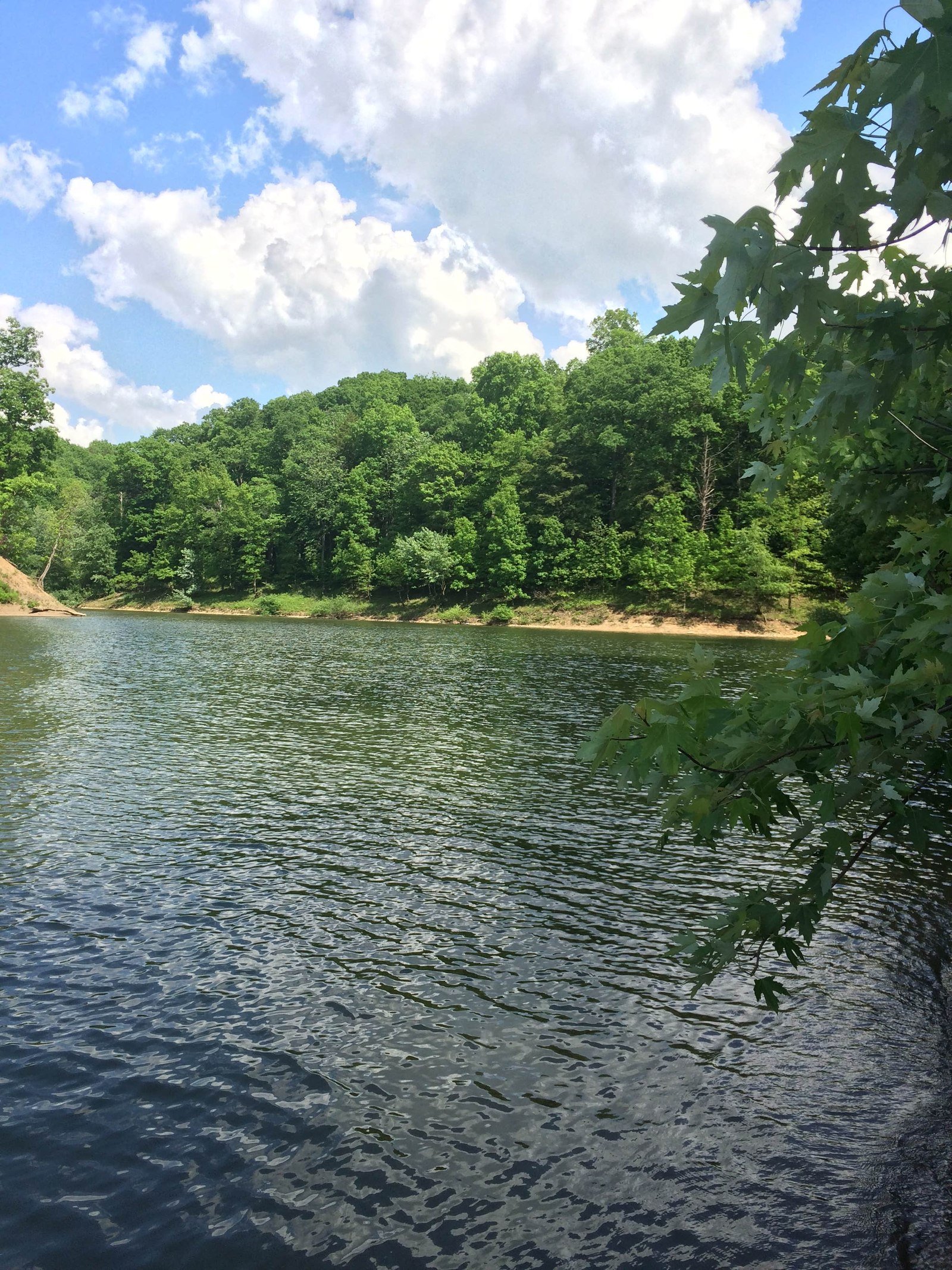 Crooked Creek Lake reference photograph 4