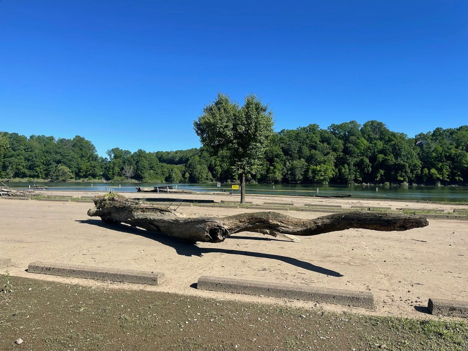 Crooked Creek Lake recreation area sandy beach with driftwood and wooded shoreline