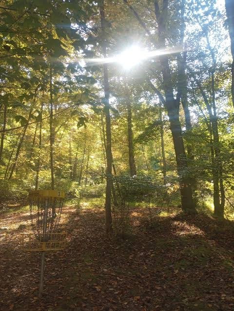 The Gorge at Anthony Run sunlit autumn woodland lane with golden tree canopy